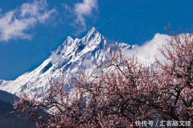 看遍国内花海，唯独林芝桃花、金川梨花，这个3月不容错过！