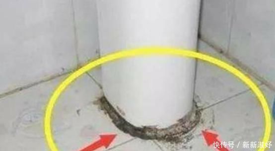 玻璃胶总是“发黑长霉”教你1招,马上就能变干净,还能除菌