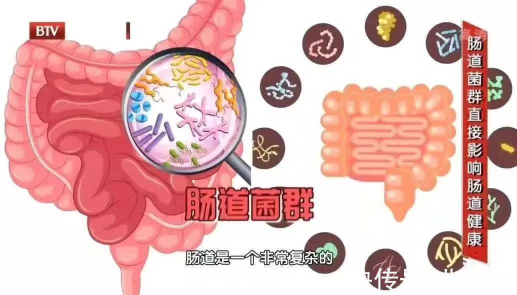 免疫细胞|免疫力差的人，通常会有这5个表现！每天“吃好喝好睡好”，轻松加固防线少生病