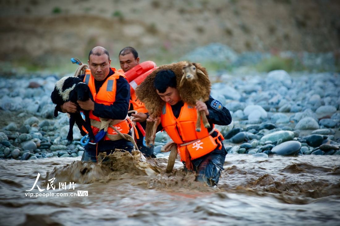 边境|新疆和田：儿童放羊被洪水围困 民警紧急救援