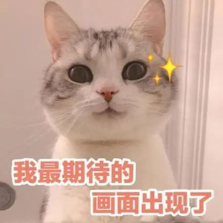 唱跳节目没出道，恋爱综艺里他倒是挺有一套
