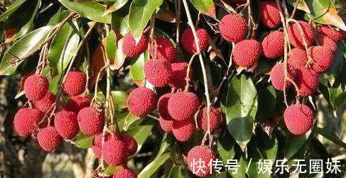 护肤|女性过了40岁,学会吃3种食物,改善肠胃,延缓衰老,美白护肤