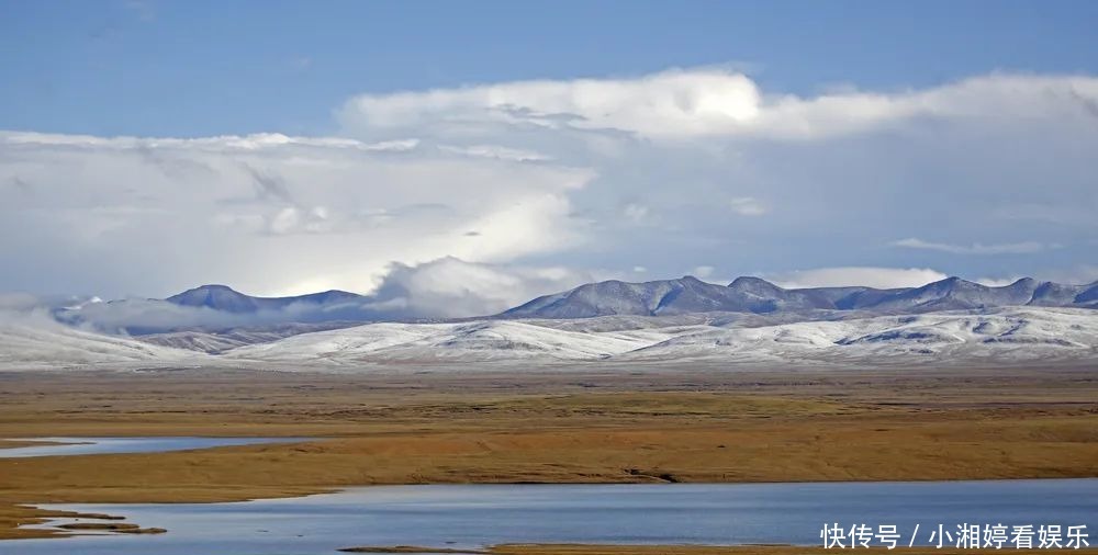 邂逅雪豹求偶季节,追寻青藏高原冰雪中的精灵