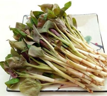 常吃|女性养肝就是“养命”，常吃3种养肝野菜，保护肝脏，健康来敲门