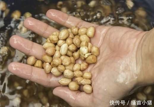 炸花生米,别急着下锅,多做一步,花生又酥又脆,还不容易炸糊