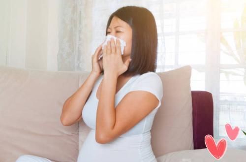 嗅觉|怀孕后,准妈妈发现“嗅觉变灵敏”原来是好事,说明胎宝宝很健康