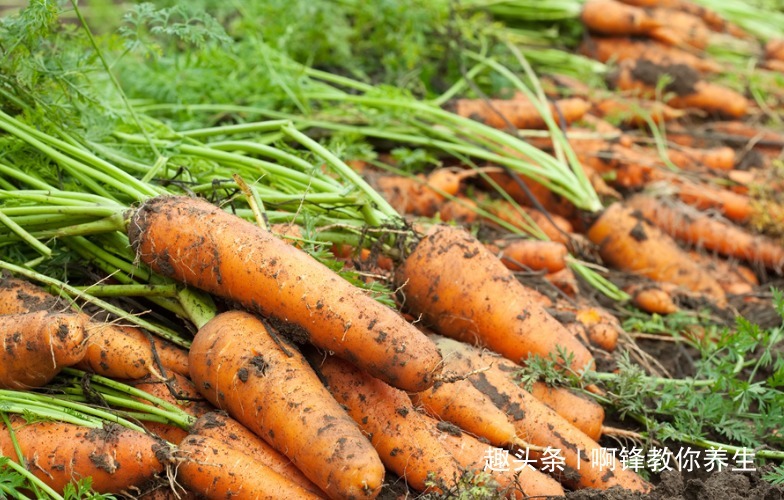 胡萝卜|吃完胡萝卜短时间内,不要碰此物,有很多人不清楚,早知早好
