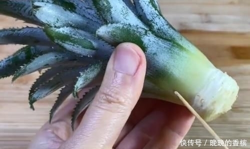 吃剩下的“菠萝头”不要扔,插3根牙签,放在家里太棒了,快学学