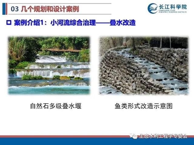 河流|「专家视角」许继军：河流生态修复理念、技术与实践