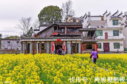 婺源|婺源踏青赏花，徽派村落与自然山水交相辉映，汇成醉人水墨诗画