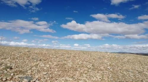 脑梗死|血压低于多少可能发生脑梗?高血压导致脑梗,最好不要低于这个值