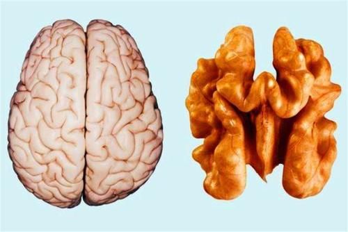 男人|男人吃羊腰真能补肾？这3类食物补肾效果比较好，建议多吃