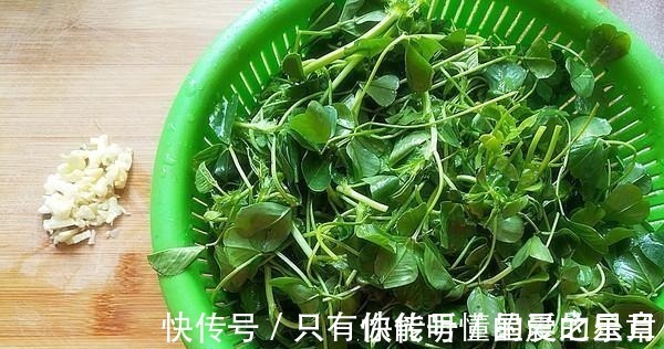 维生素k|这种草被称为“肝脏解毒王”,坚持每天吃,身体肝毒全排光!