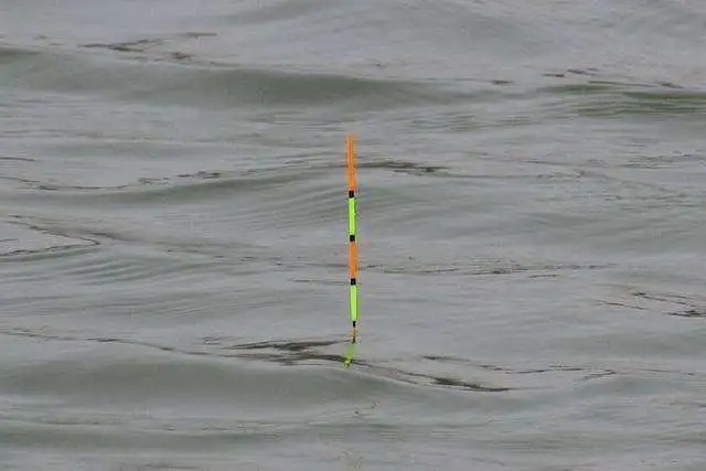 双钩半水调漂技巧全解析，熟练掌握，钓起鱼来轻松不少！