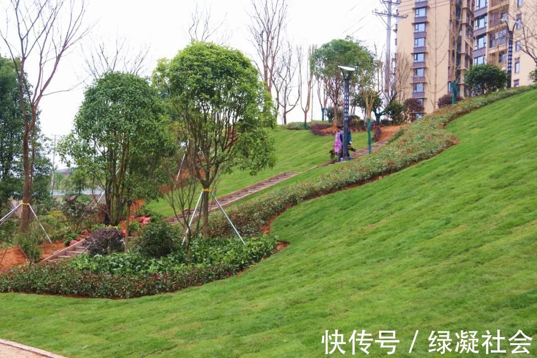 自然教育|99%的家长还不知道,“自然缺失症”正在毁掉孩子的童年