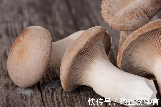 菌蕾|买杏鲍菇时，选大的好还是小的好？菜农：记住这5点，准没错