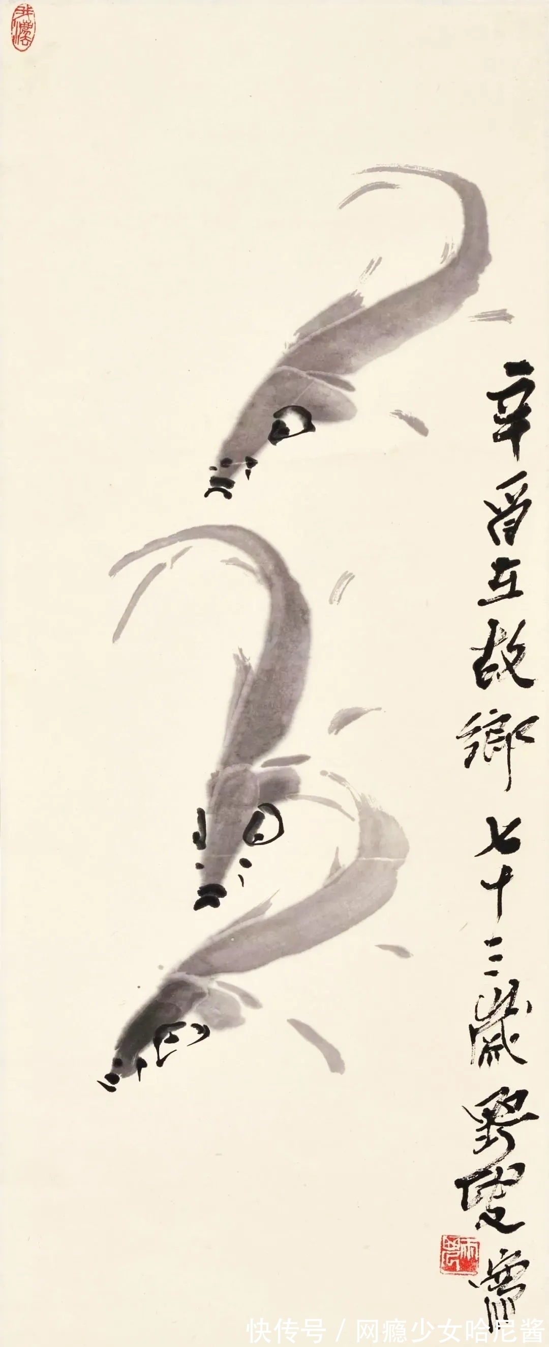 花鸟画@随心所欲、自然天成｜蒋雨浓写意花鸟画