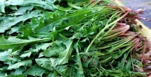 對身體很不錯的幾種食物，營養豐富，健脾暖胃，愛吃就賺了！