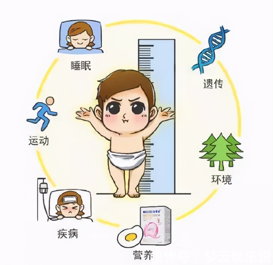 家长|孩子长高,孩子吃什么食物容易长高,家长要知道