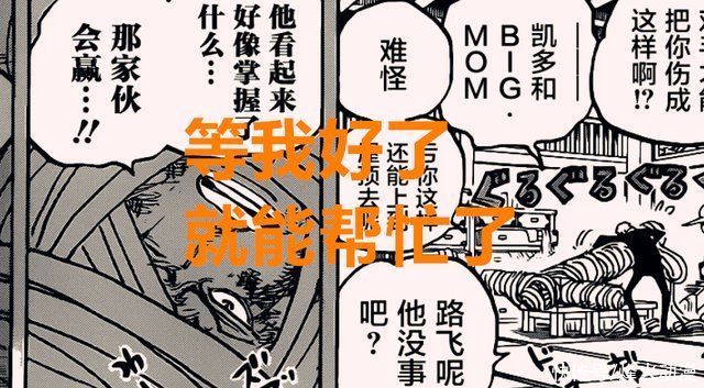 马尔科|海贼王1016话:锦卫门比路飞还强?索隆单挑烬，马尔科转线大妈