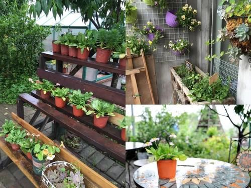 栽培香草享用极致的玩法,一经栽种,全程享乐!