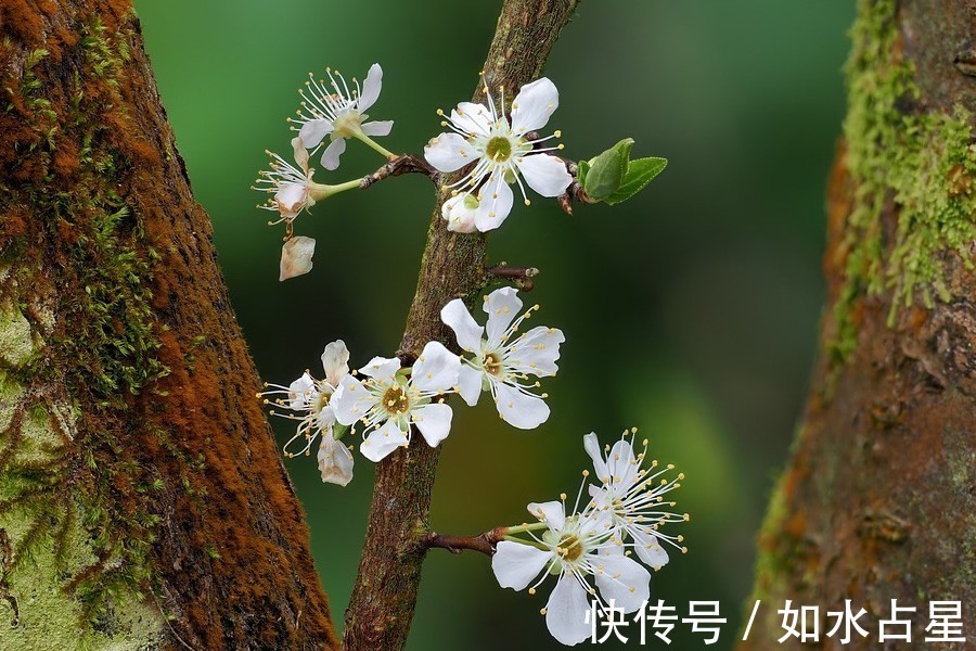 运势|处女座女生2022年运势详解，好运将飞速上升，各方面有很大进步