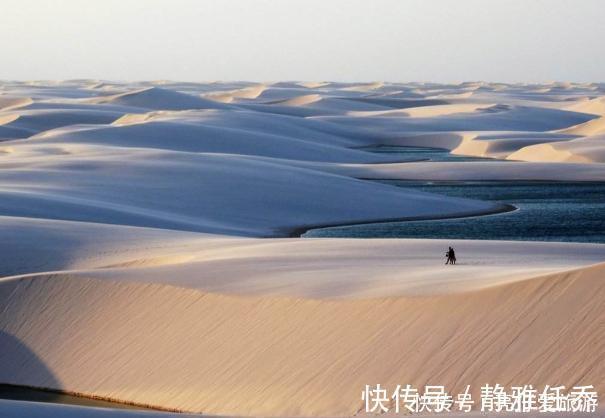 鱼虾|最“不正经”的沙漠，水比沙子还多，湖泊遍地鱼虾成群