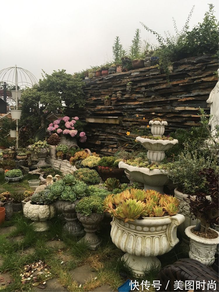 花草|历时一年，在31楼打造300㎡“屋顶花园”，如今美成了仙境