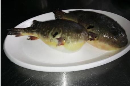 鱼刺|这3种鱼已进入“黑名单”,可父母还在买,害了孩子还不自知