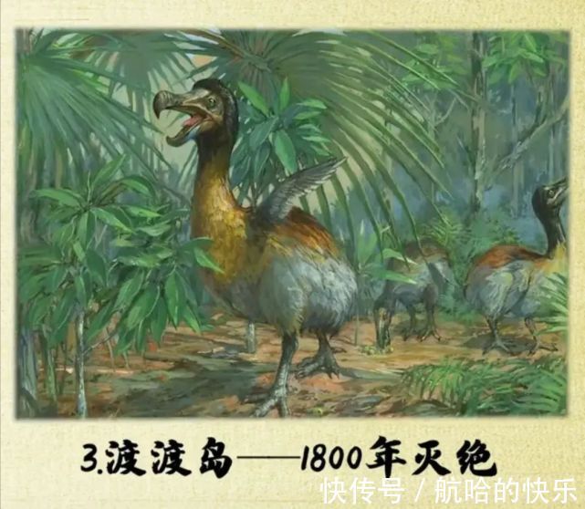 奥特曼|爆笑神评丨奥特曼灭绝了?光消失了?