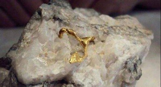 国家曾五百万一斤收这石头,有姑娘捡了四百公斤,后来怎么样了