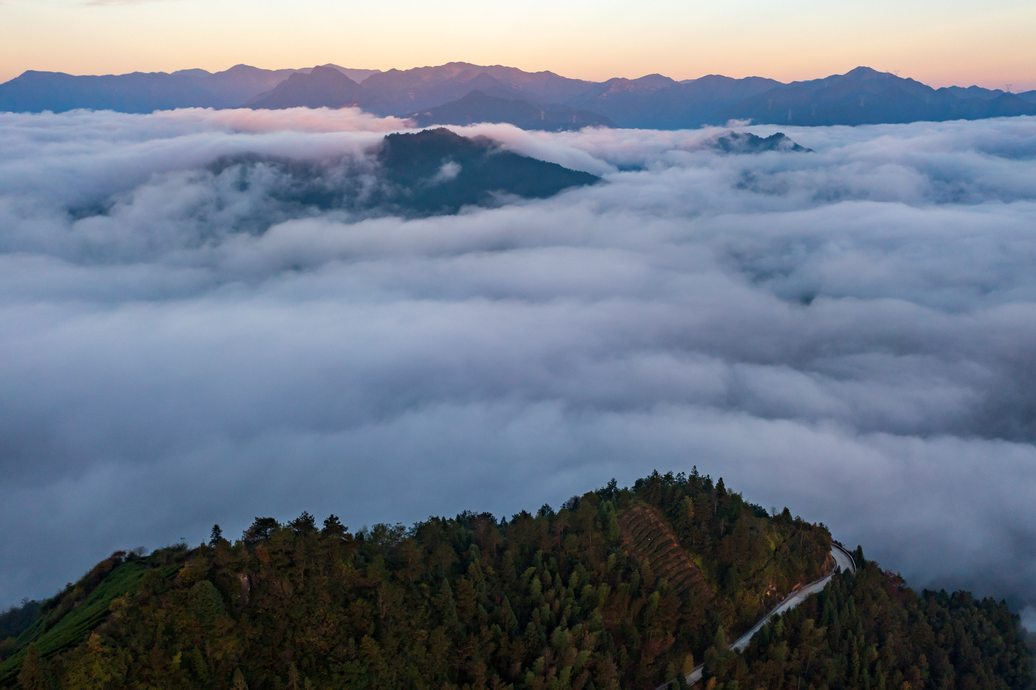 美景|畲乡景宁云海翻涌似仙境秋色美景入画来