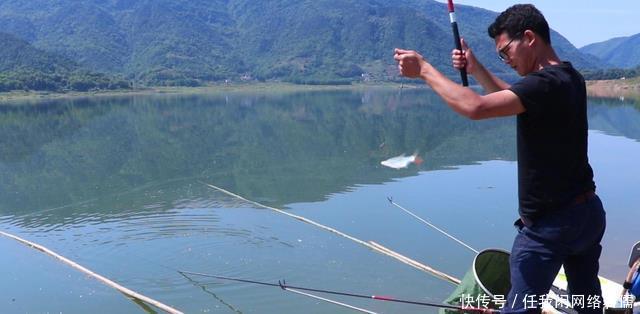 钓鱼|为什么浮漂有信号,提竿却没有鱼