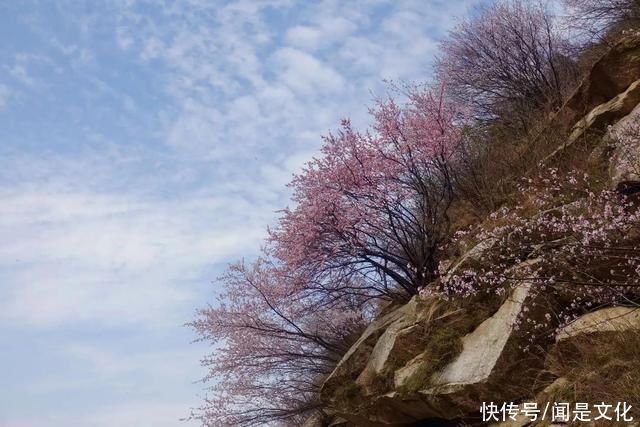 祁河散文:桃花依旧笑春风