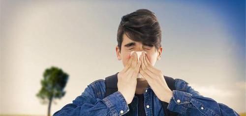 搭档|黄芪的“最佳搭档”揭秘,泡水喝,祛湿排寒,肝肾兴许“报答”你