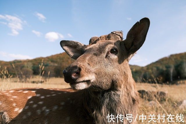 快门|高颜值、性能强 买台富士相机奖励自己吧