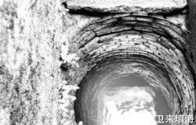 乌龟&古人为何要在打好的井里放只乌龟听完原因,人们纷纷这样做!