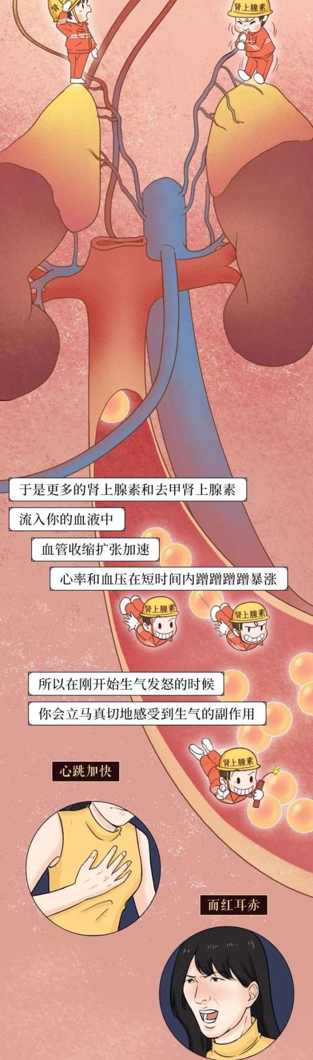终于|人性漫画:为什么别惹女朋友生气,终于有科学答案了