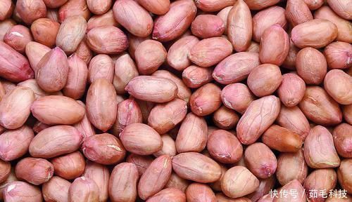 食物|患上子宫肌瘤要淡定,6种食物坚持吃,助你活血化瘀、消除肌瘤