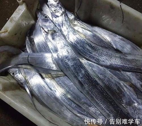 懂行的人买鱼专挑这4种鱼,无法人工养殖才更营养,贵的也值