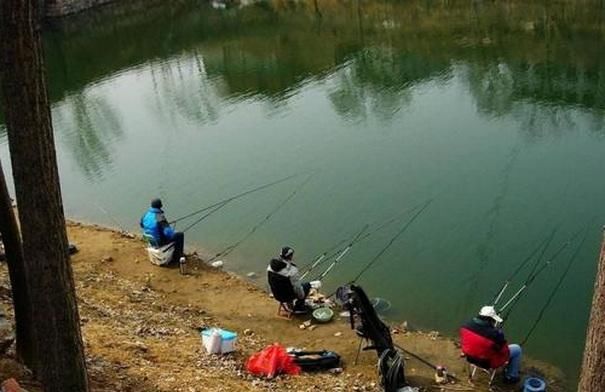 垂钓者|钓鱼为什么会上瘾，看看这些垂钓者最兴奋的时刻就知道了