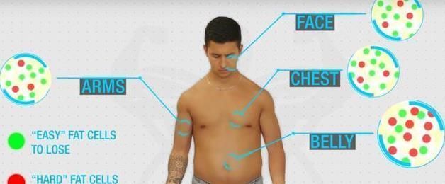 腹部|练出腹肌要花多长时间?为何腹部赘肉非常难减?明显白白报告你