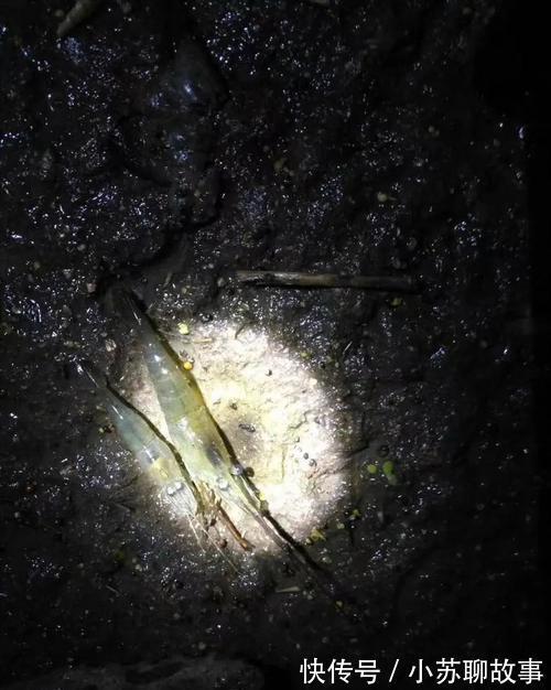 成果|女网友晒钓虾成果,赢来网友一片喝彩!