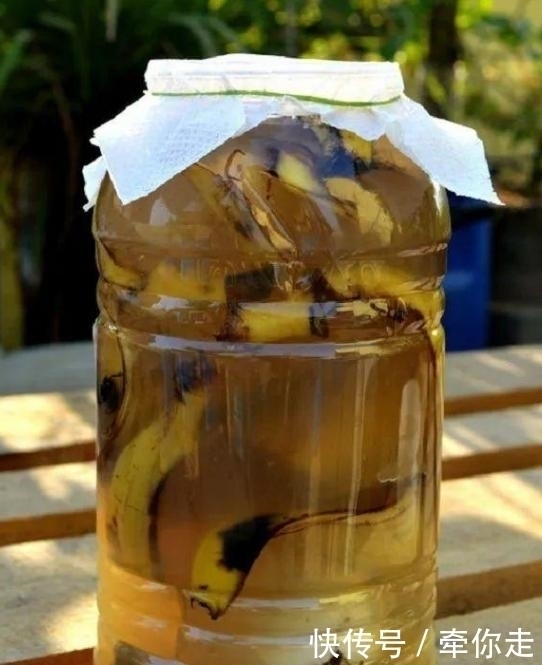 刚扒的香蕉皮该如何处理养花学2招,既能清洁又能增添营养