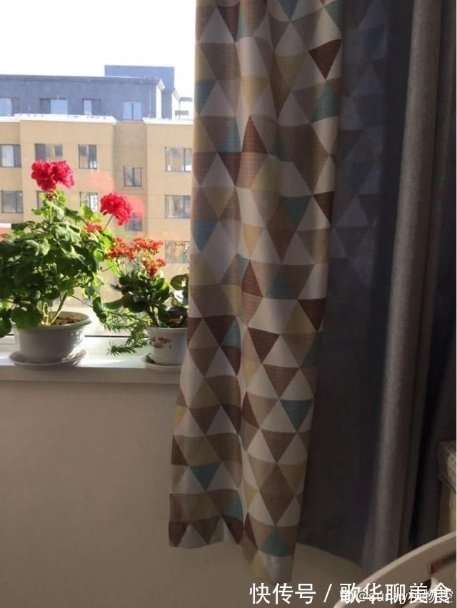 夏天养花,这个地方千万别摆,否则3天死翘翘