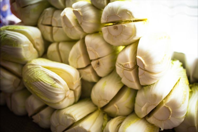 腌东北酸菜，不要直接抹盐，谨记3个诀窍，酸爽脆嫩，不会发霉