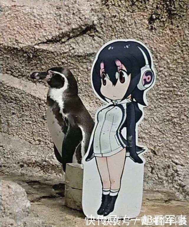 动物园|那些听起来很疯狂,但却在历史上真实发生过的3个罕见事情