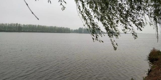 电鱼|前天爆护连竿的地方,隔天垂钓却不见一口!幸亏遇到老者道出缘由