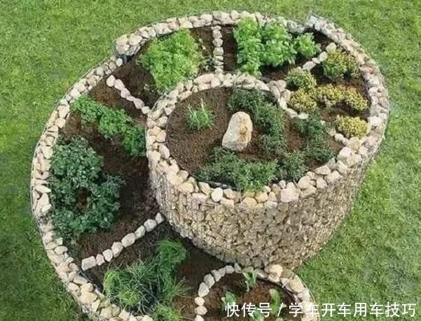 碰上石头、木块赶紧捡回家,简单一处理,做成独一无二的养花盆!