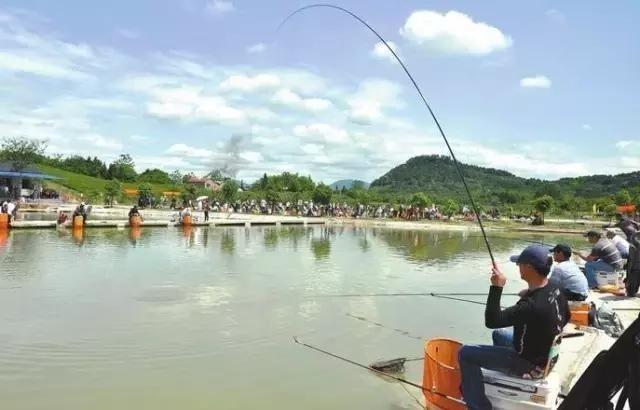 鱼情不好的时候,不妨试试这个钓法—“扎蛤蟆”